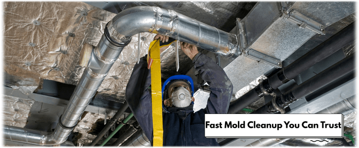Air Duct Mold Removal in Darien IL