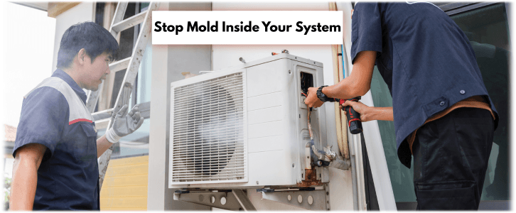 HVAC Mold Removal Darien IL